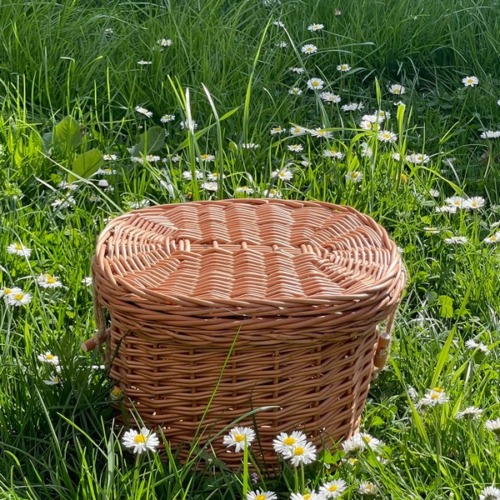 Weidenurne Naturklang