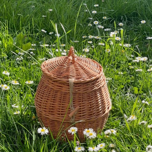 Weidenurne Lebenskreis